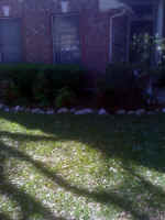 Mikeb4PlantBedFront.jpg (340665 bytes)